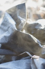 今朝は少し暖かでした