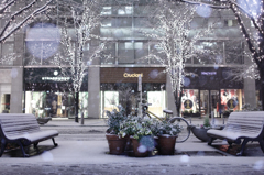 Snowy night