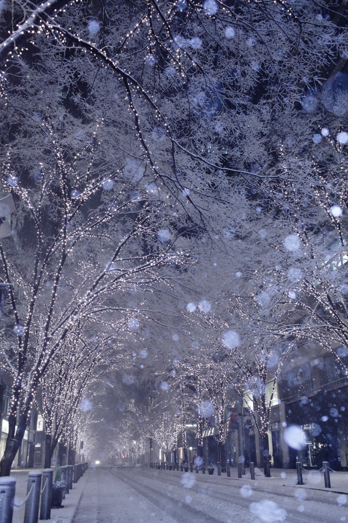 Snowy night