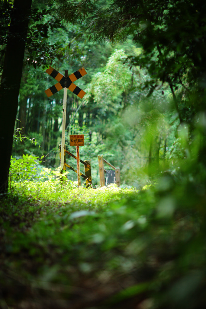 長良川鉄道