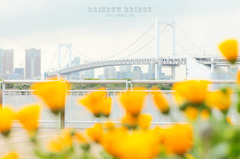 RAINBOW BRIDGE