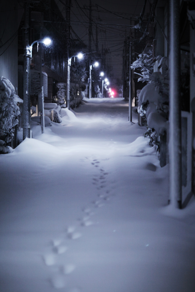 Snowy night
