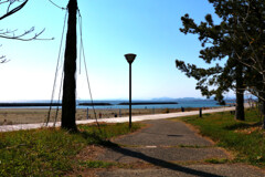 ヤシーパークの海