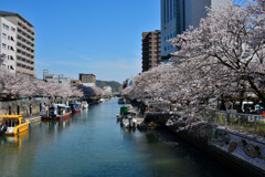 堀川