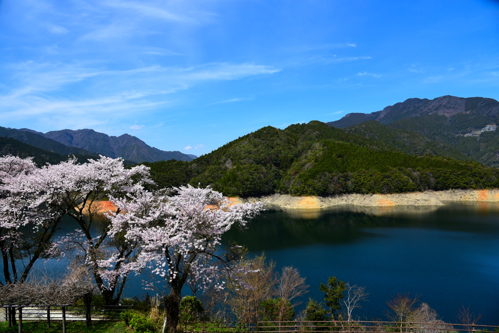 早明浦ダム湖