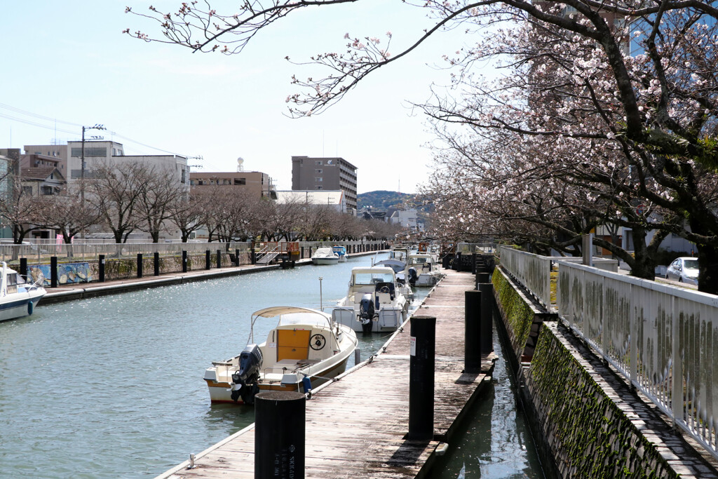 堀川のボート