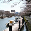 堀川のボート