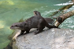 のいち動物公園