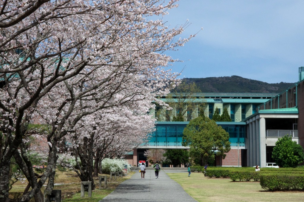 高知工科大学