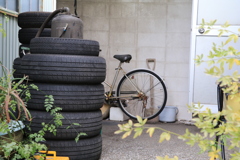 散歩中の　タイヤ屋さん