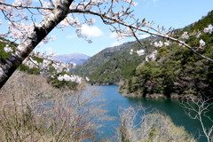 仁淀川