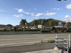 散歩中の　北風が強いです