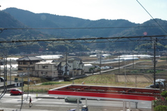 散歩中の