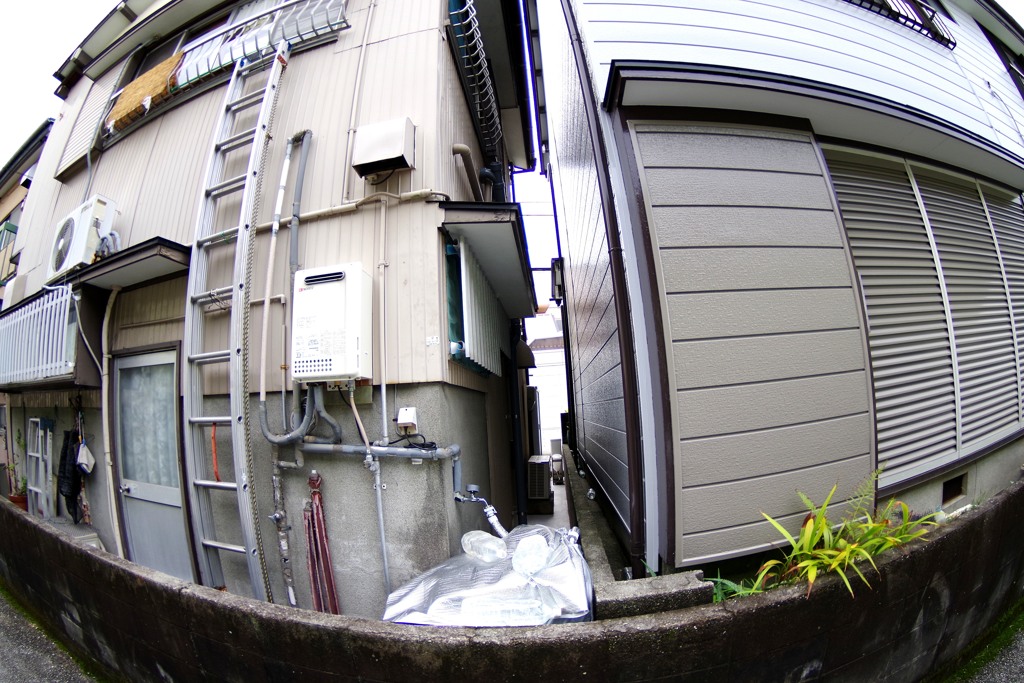 散歩中の　隙間