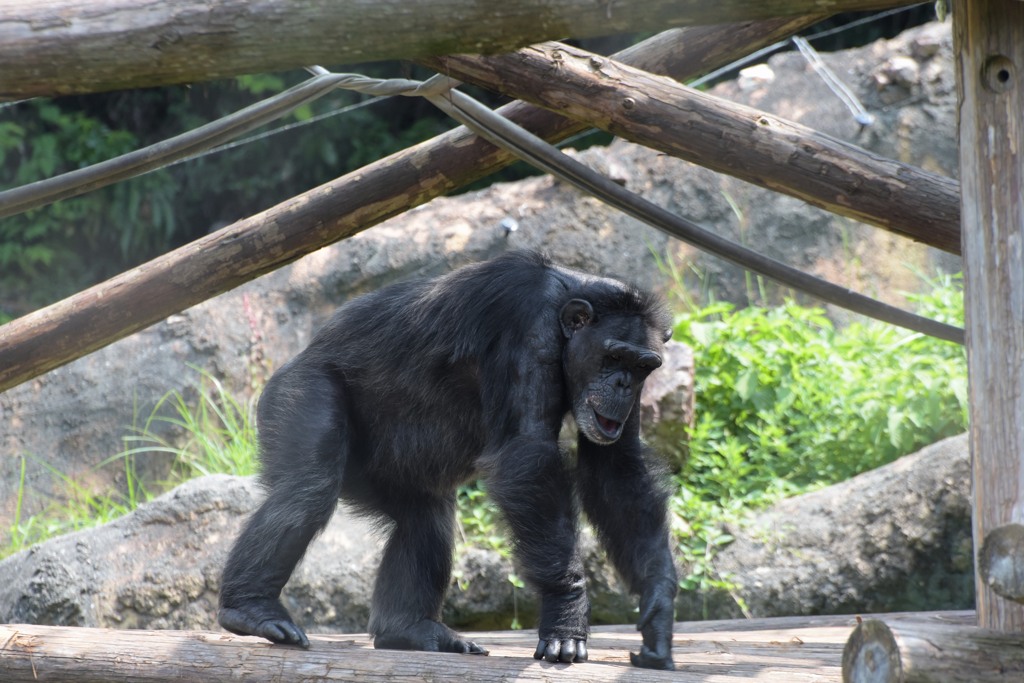 のいち動物公園