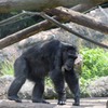 のいち動物公園