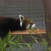 のいち動物公園