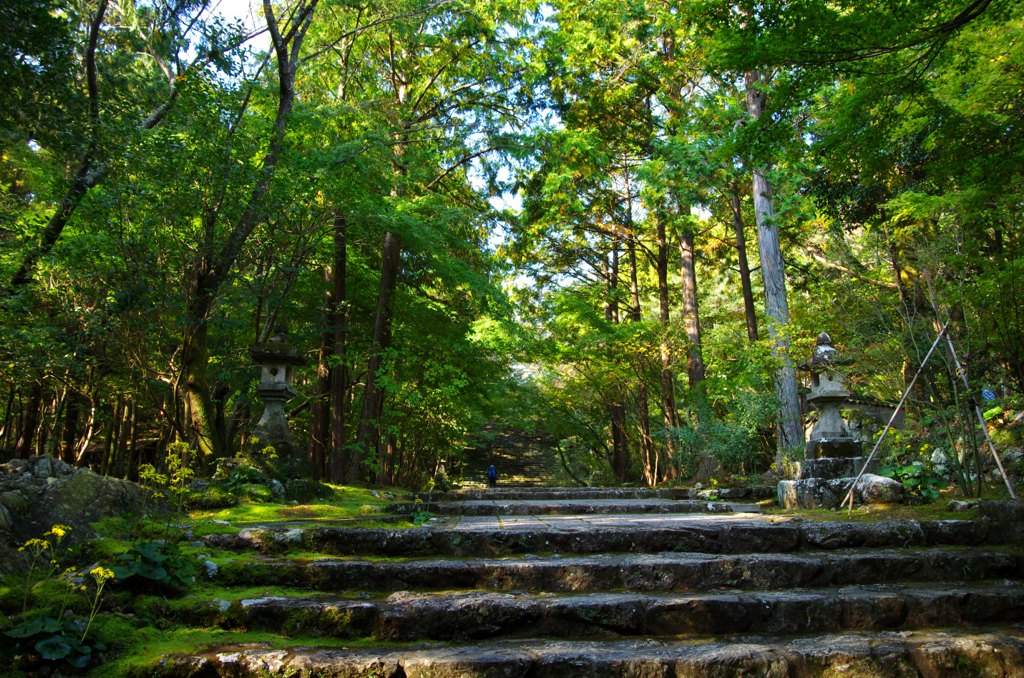 竹林寺