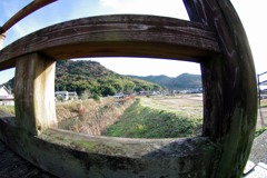 散歩中