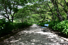 遊歩道