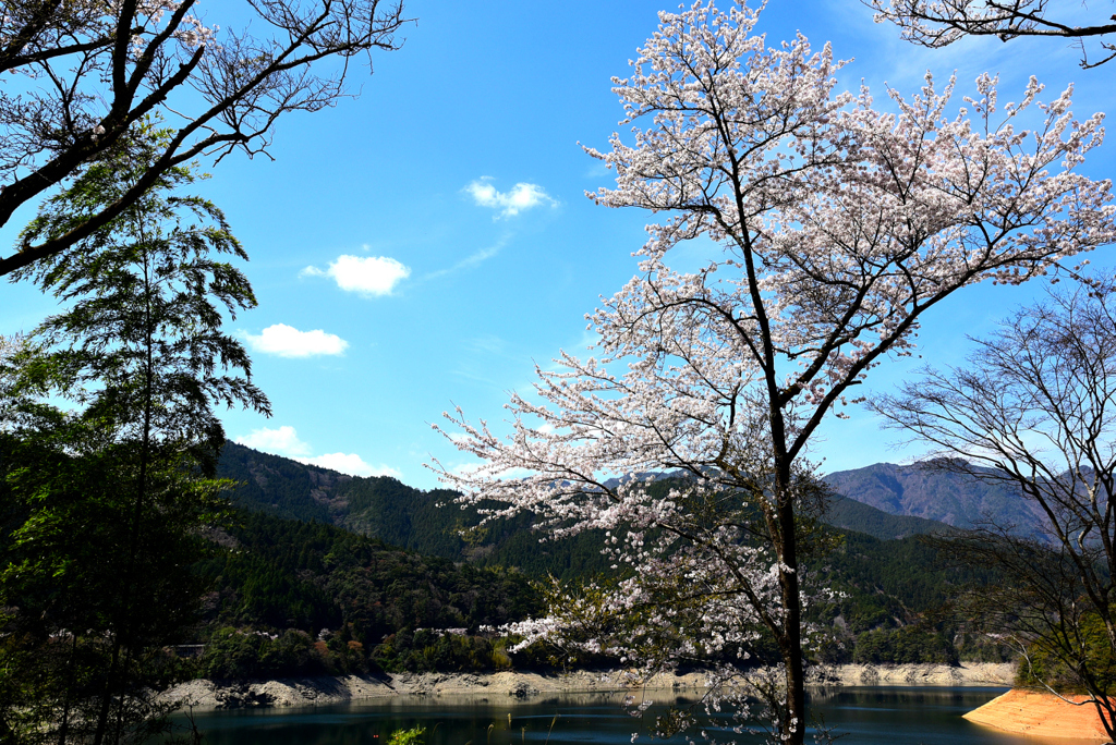 早明浦ダム湖