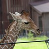 のいち動物公園