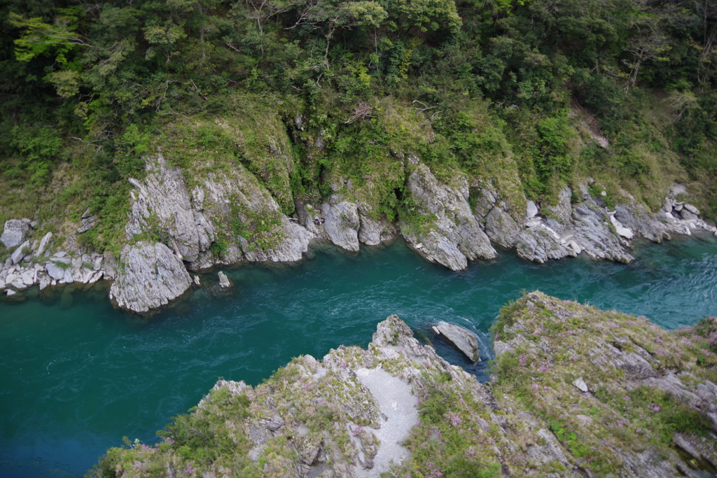 吉野川　大歩危 IMGP0944