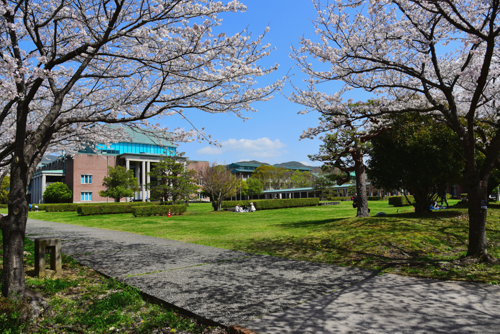 高知工科大学