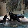 のいち動物公園