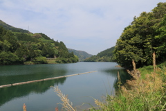 杉田ダム湖　IMG_3157