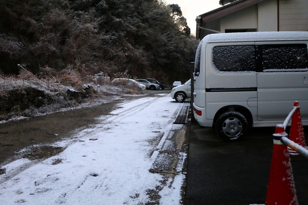今朝
