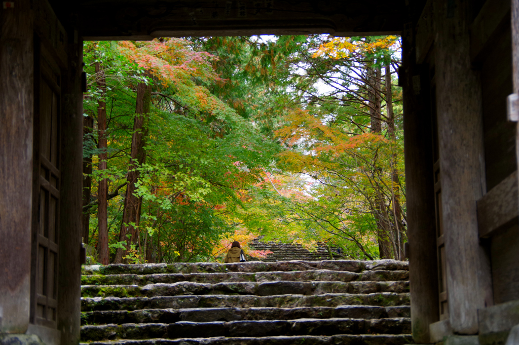 竹林寺