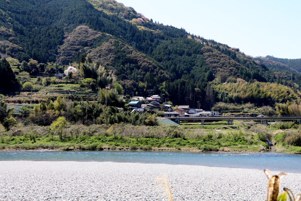 仁淀川