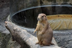 のいち動物公園