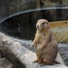 のいち動物公園