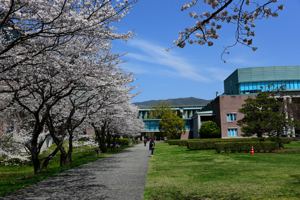 高知工科大学