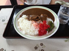 シシ肉カレー