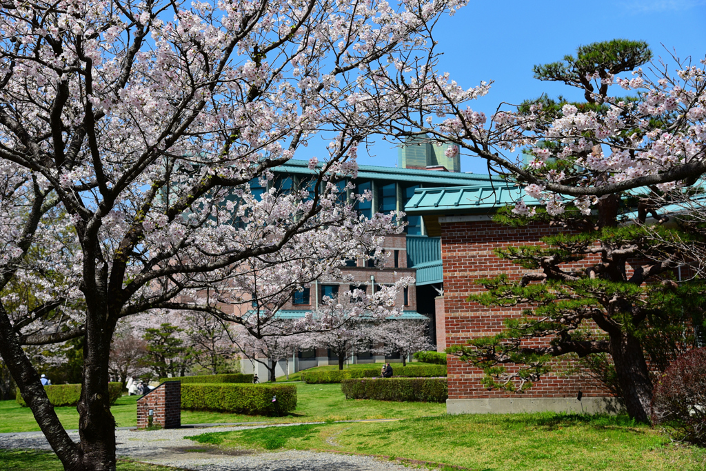 高知工科大学