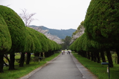 鏡野公園