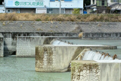 堰