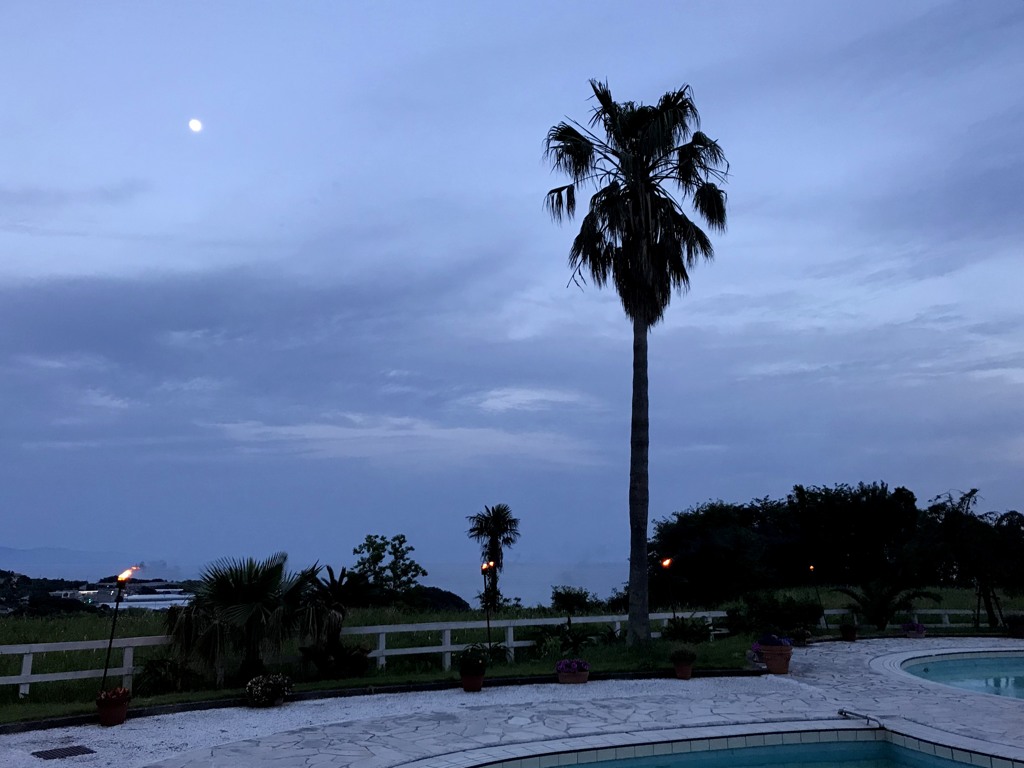夜景