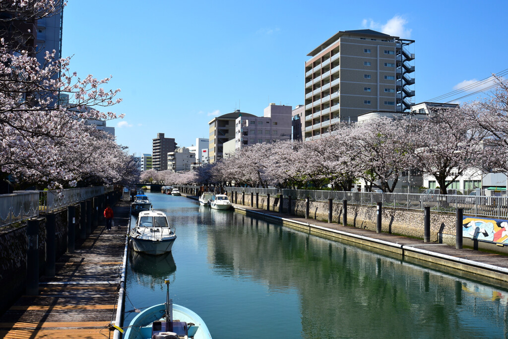 堀川