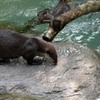 のいち動物公園