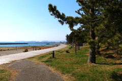 ヤシーパークの海