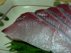 肴　ぶりの刺身