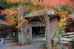 朝峯神社