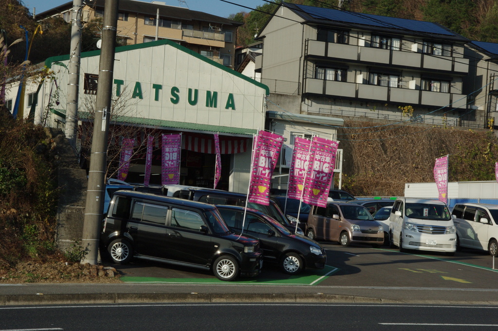 散歩中の