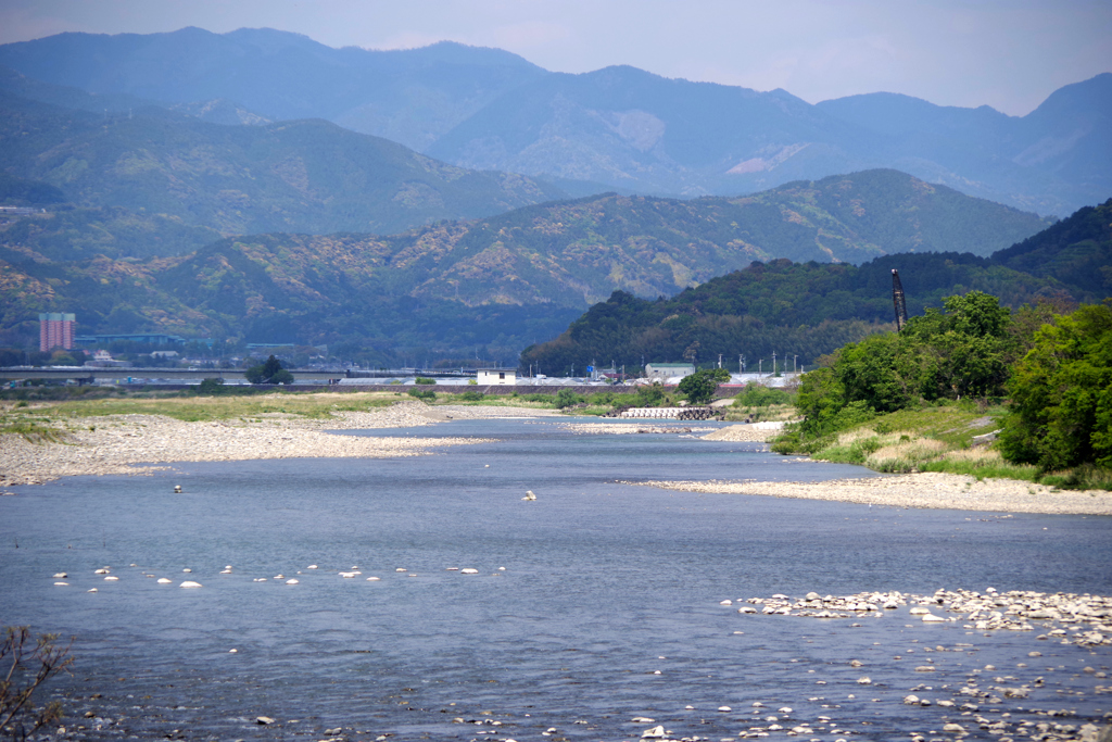 物部川　人混みを避けて・・。