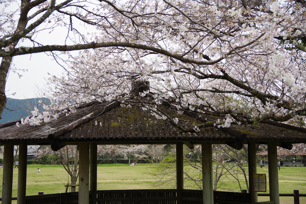鏡野公園