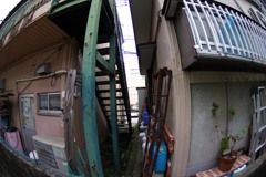 散歩中の　隙間